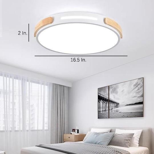 Minimalist Round LED Modern Flush Mount Ceiling Light