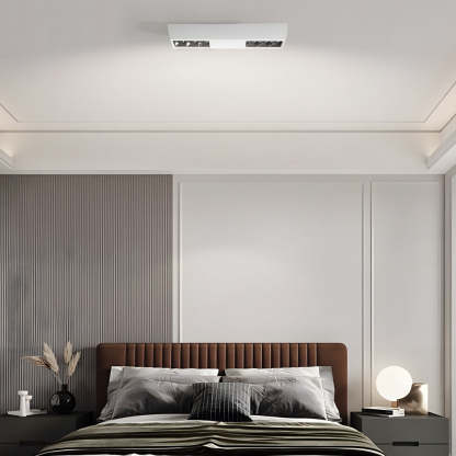 Flush Mount Linear LED Spotlight