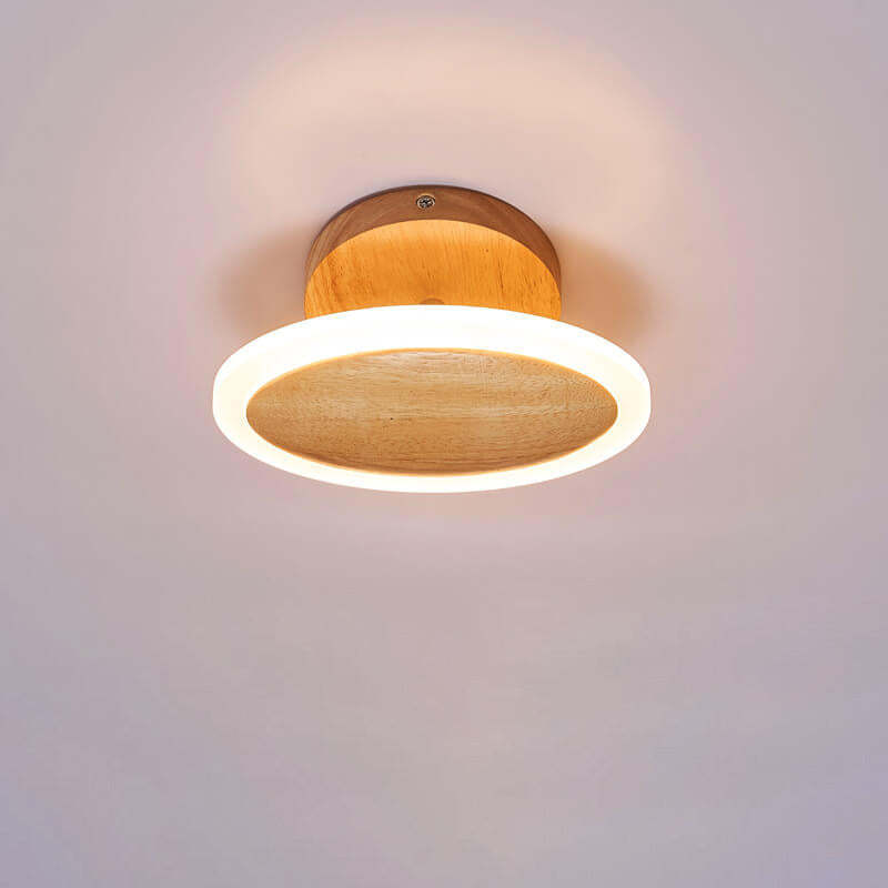 Minimalist Log Oval LED Ceiling Light