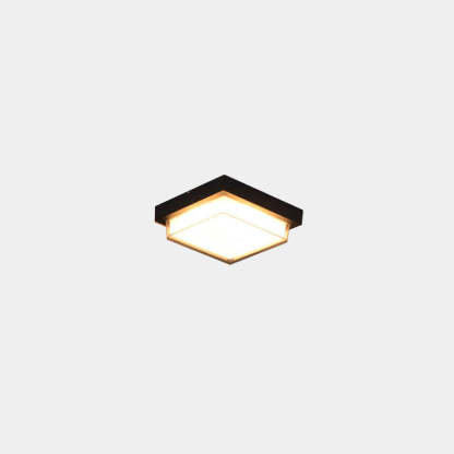 Modern Outdoor Aluminum Induction Flush Light — Non Body Sensor - Warm Light / 220V-240V For UK/AU