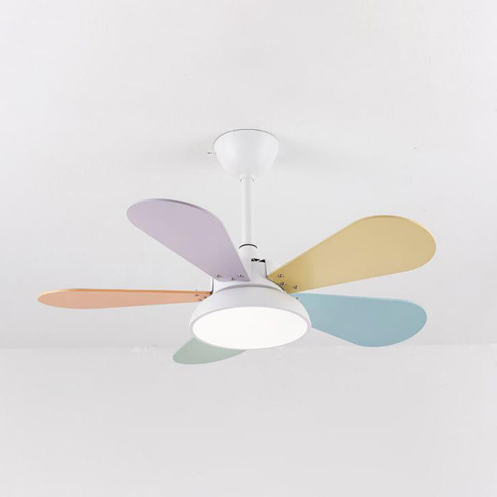 Simple Colorful Fan Leaf Kids Fan Light