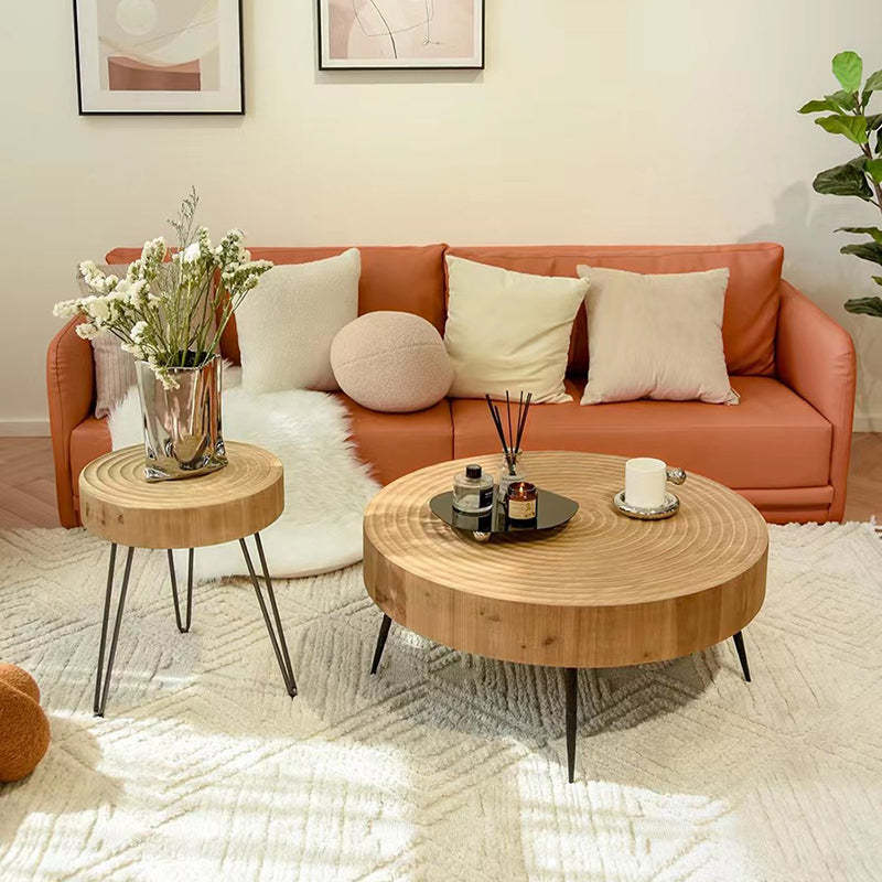 Minimalist Round Annual Wood Steel Coffee Table