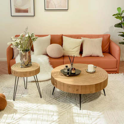 Minimalist Round Annual Wood Steel Coffee Table