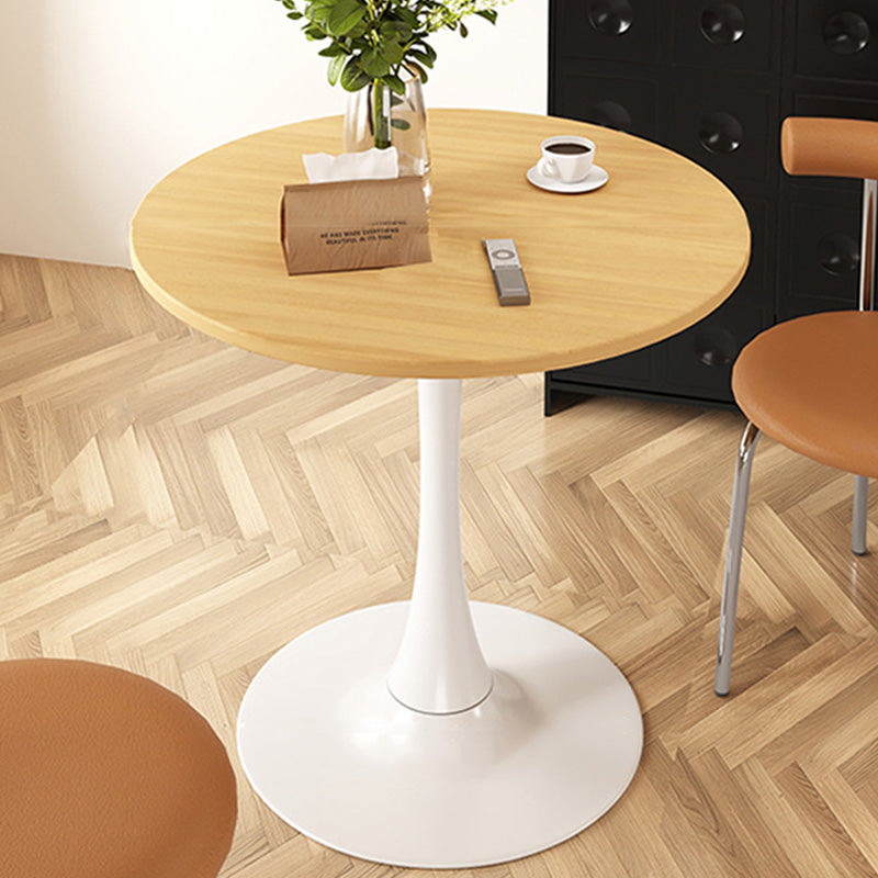 Modern Faux Wood Grain Steel End Table