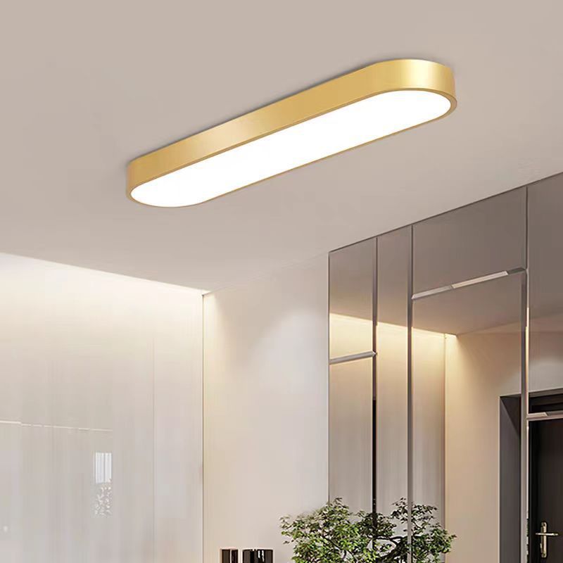 Minimalist Elliptical Strip Iron Flush Mount Light