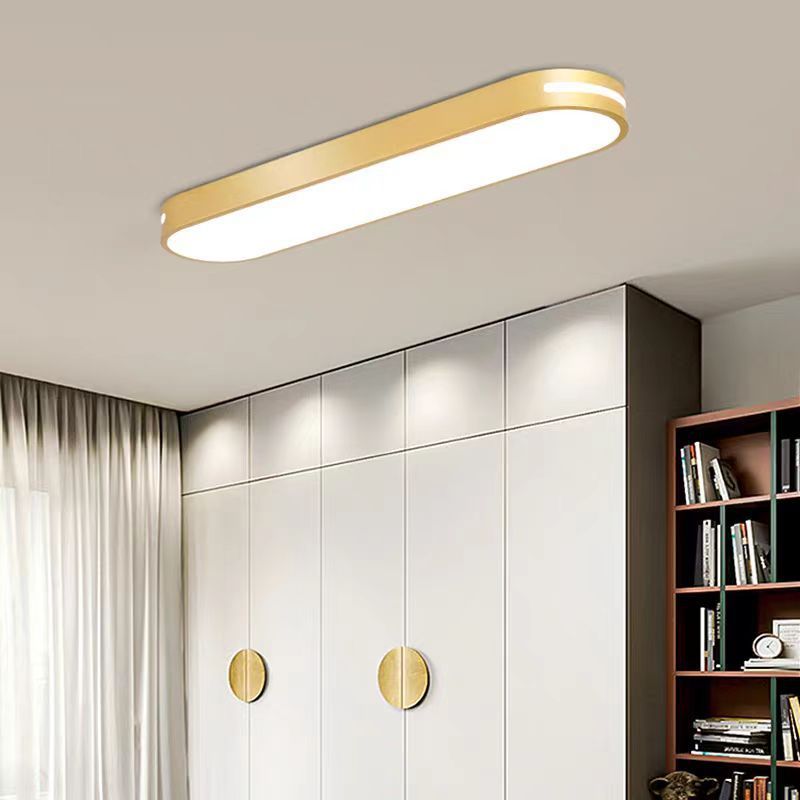 Minimalist Elliptical Strip Iron Flush Mount Light