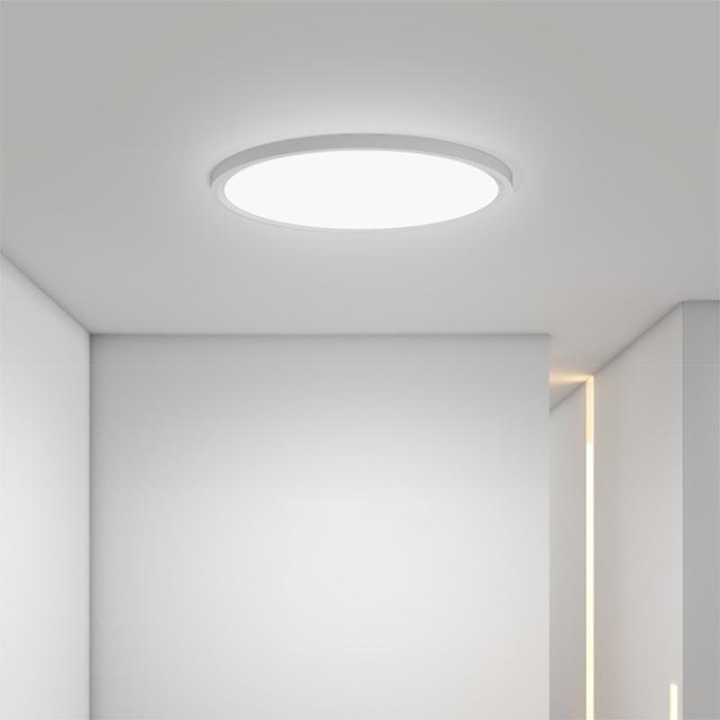 Minimalist Black Circle Industrial Flush Mount Kitchen Light