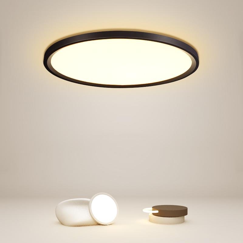 Minimalist Black Circle Industrial Flush Mount Kitchen Light