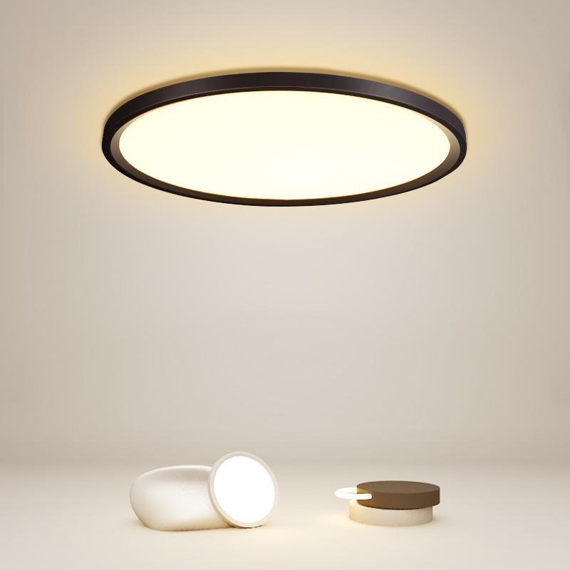 Minimalist Black Circle Industrial Flush Mount Kitchen Light
