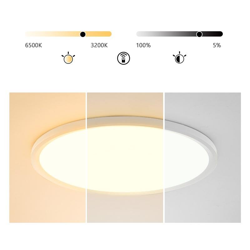 Minimalist Black Circle Industrial Flush Mount Kitchen Light