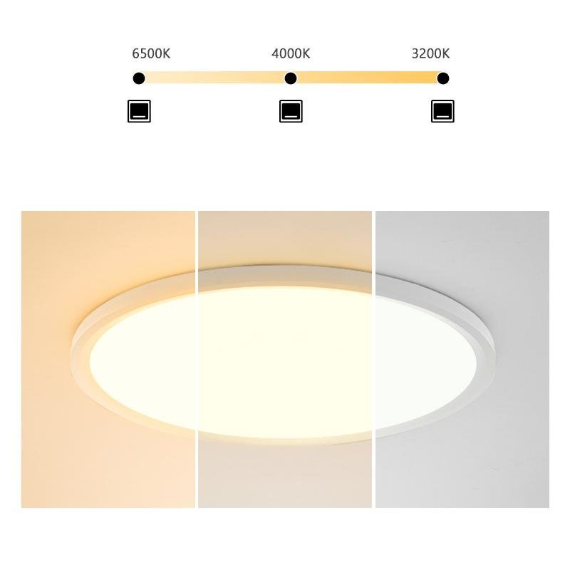 Minimalist Black Circle Industrial Flush Mount Kitchen Light