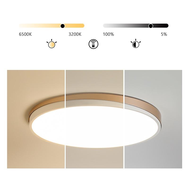 Circle Modern Flush Mount Kitchen Dining Ceiling Light