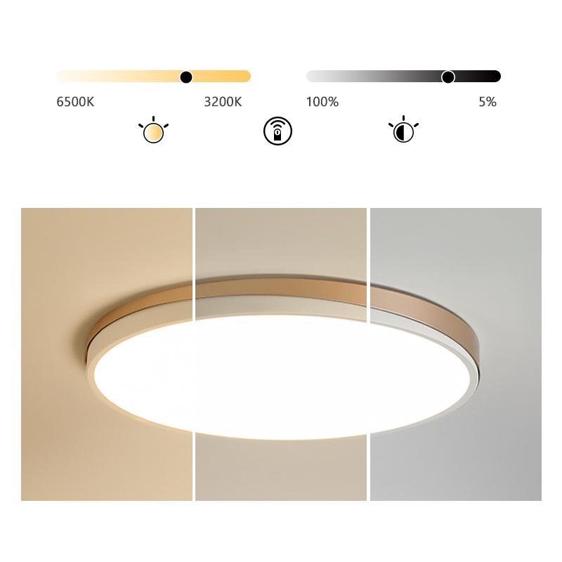 Circle Modern Flush Mount Kitchen Dining Ceiling Light