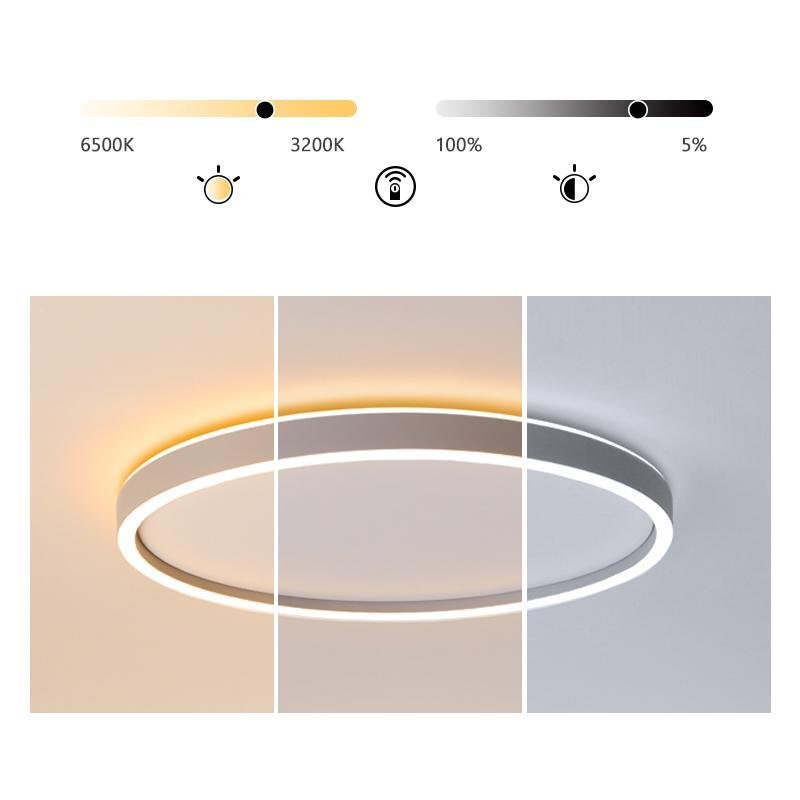 Modern Circle Halo Bedroom Flush Mount