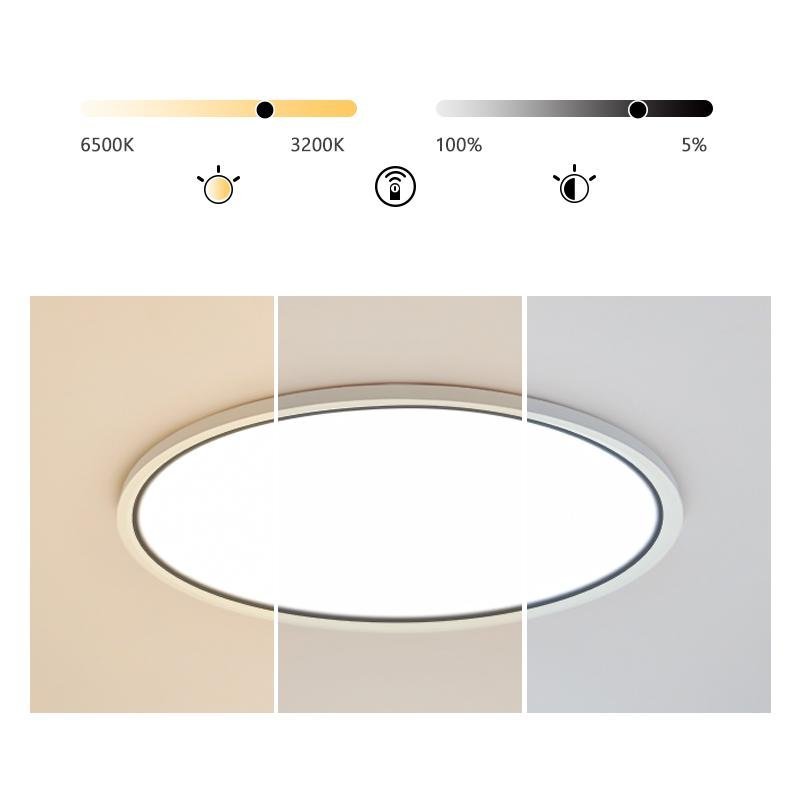 Soft White Round Flush Mount