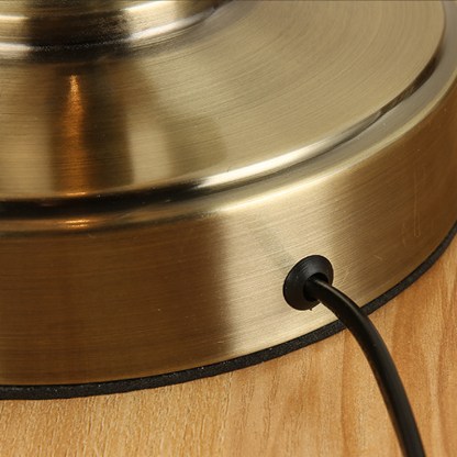 20'' Antique Metallic LED Desk Lamp with Adjustable Gooseneck for Task Lighting-Lighom