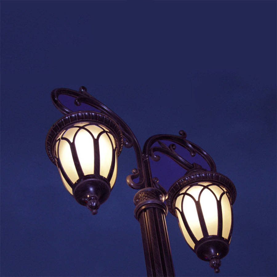 2 Head 118'' Aluminum Waterproof LED Black European Style Street Lights-Lighom