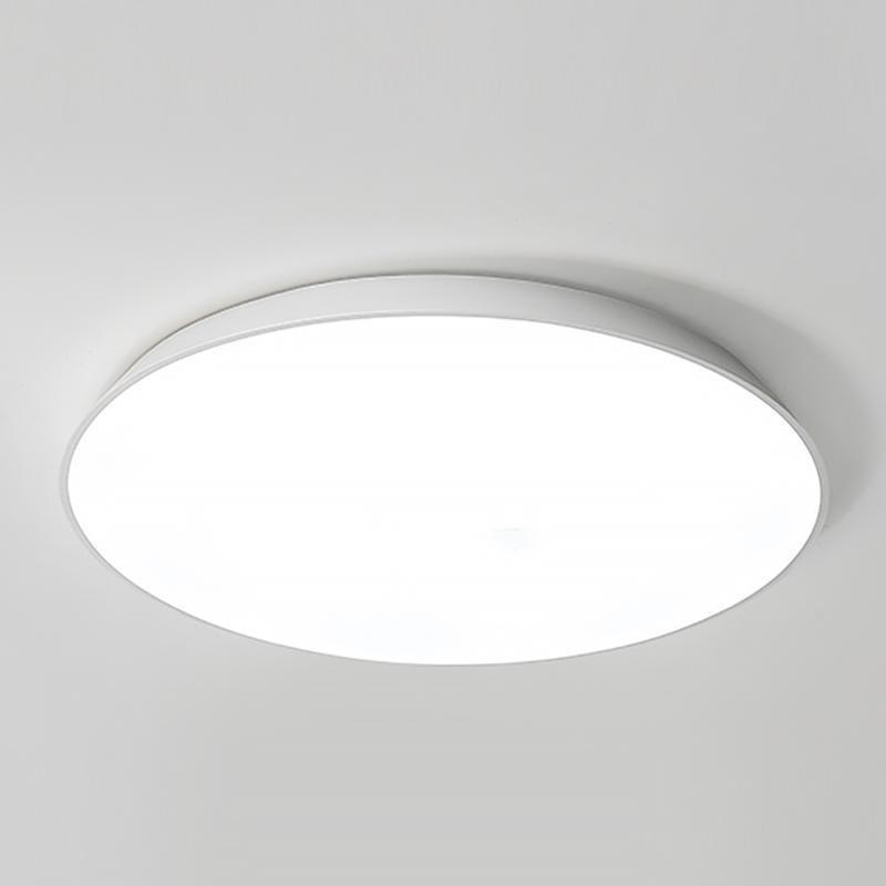 Simple Bowl Iron Flush Mount Light