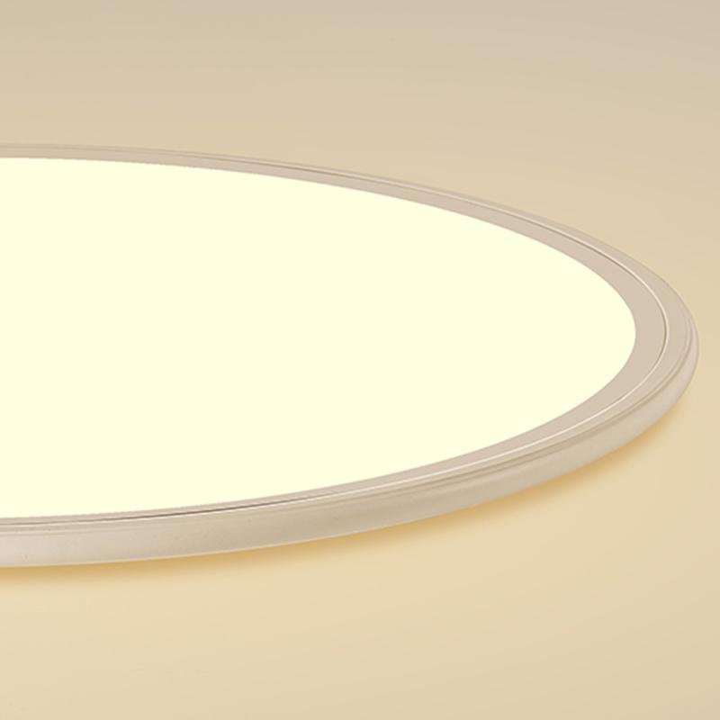 30" Round LED Ultrathin Modern Flush Mount Light