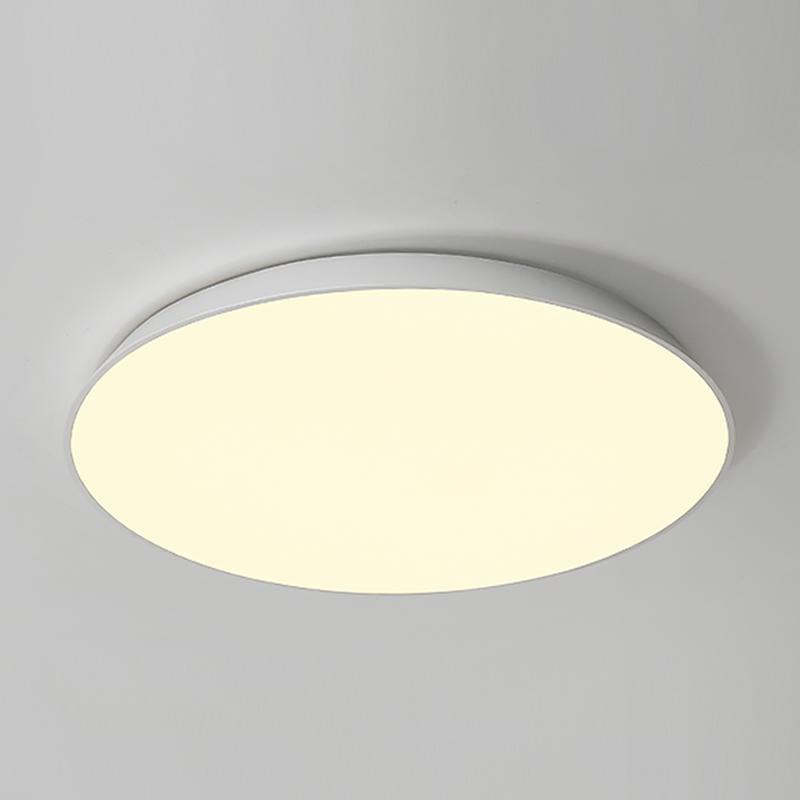 Simple Bowl Iron Flush Mount Light