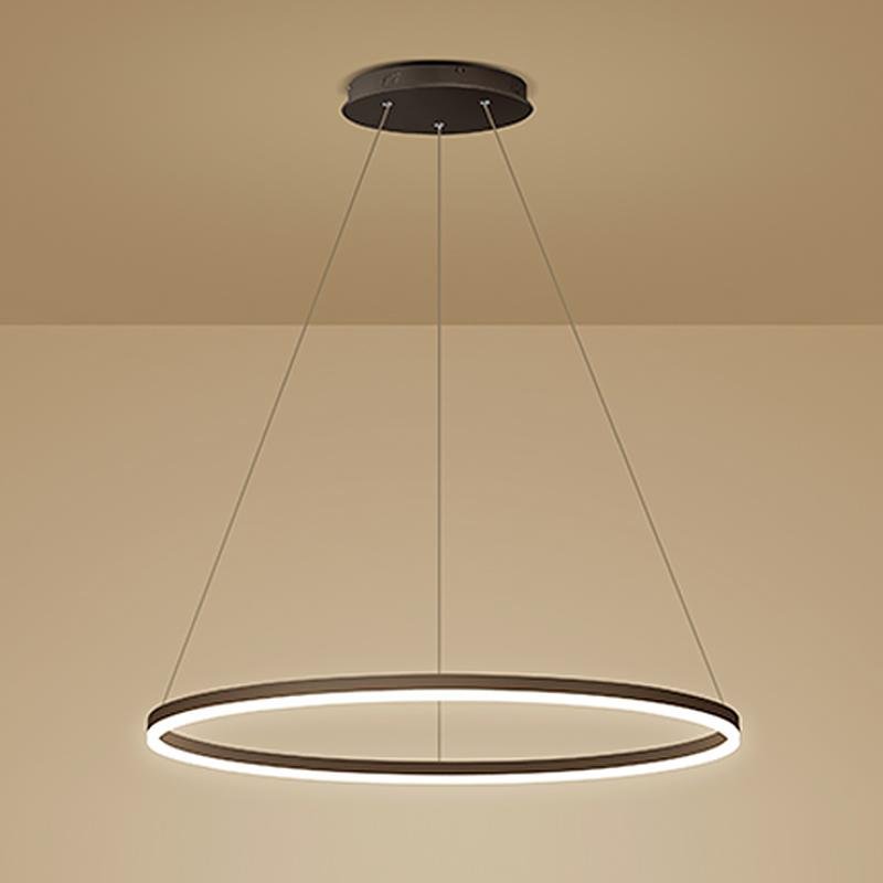 Simple circle brown acrylic synthetic metal pendant lighting, Lighom
