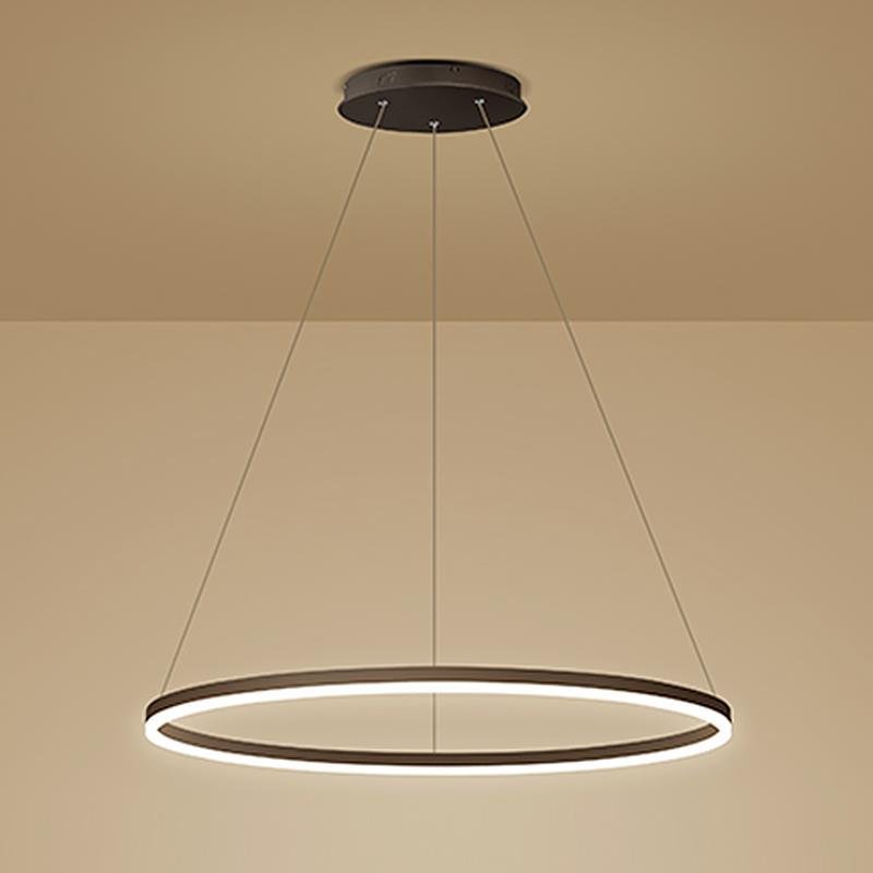Simple circle brown acrylic synthetic metal pendant lighting, Lighom