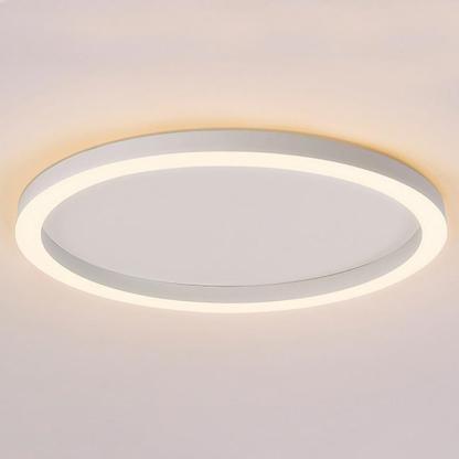 16" Modern Simple Circle Dimmable Flush Mount