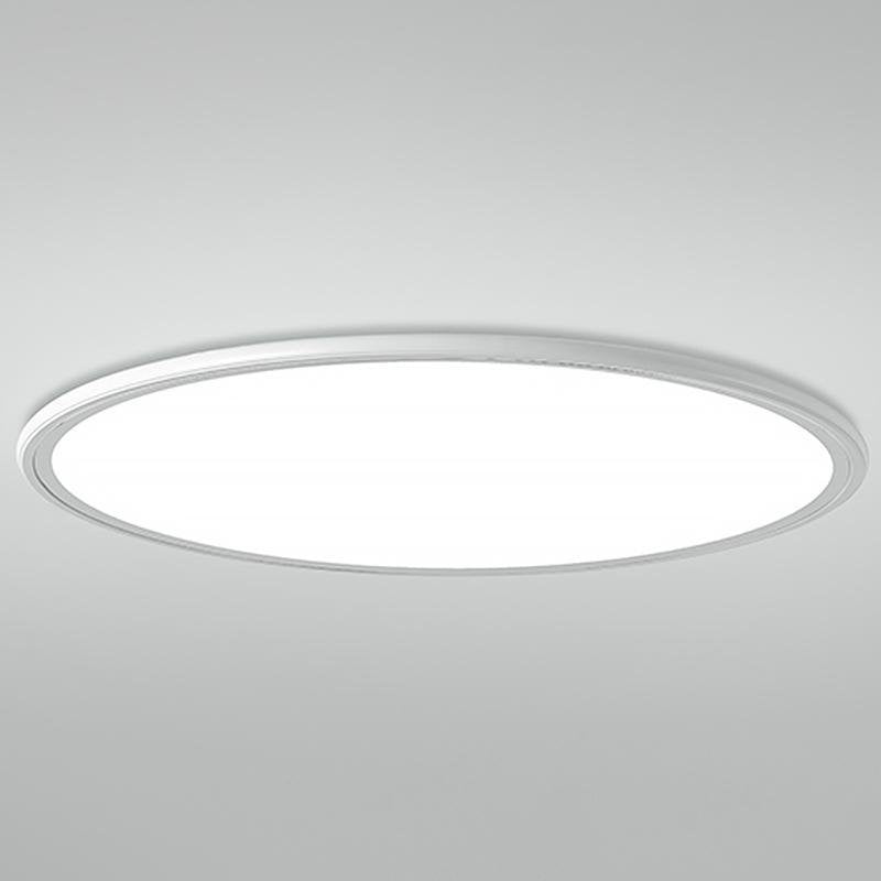 30" Round LED Ultrathin Modern Flush Mount Light
