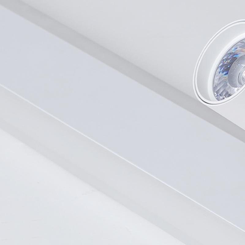 Rectangular LED Small Flush Mount Light with Spherical Bulb Spotlight-Lighom