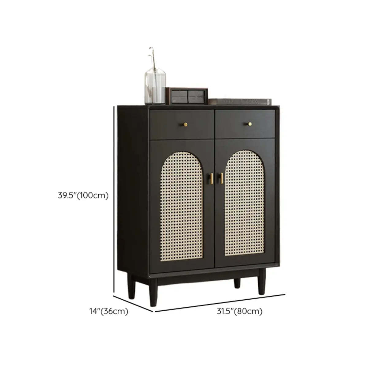 Contemporary Black Wood Hallway Shoe Cabinet