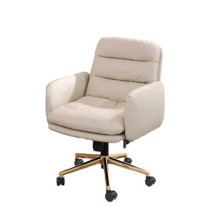 Adjustable Ergonomic Office Chair with Casters