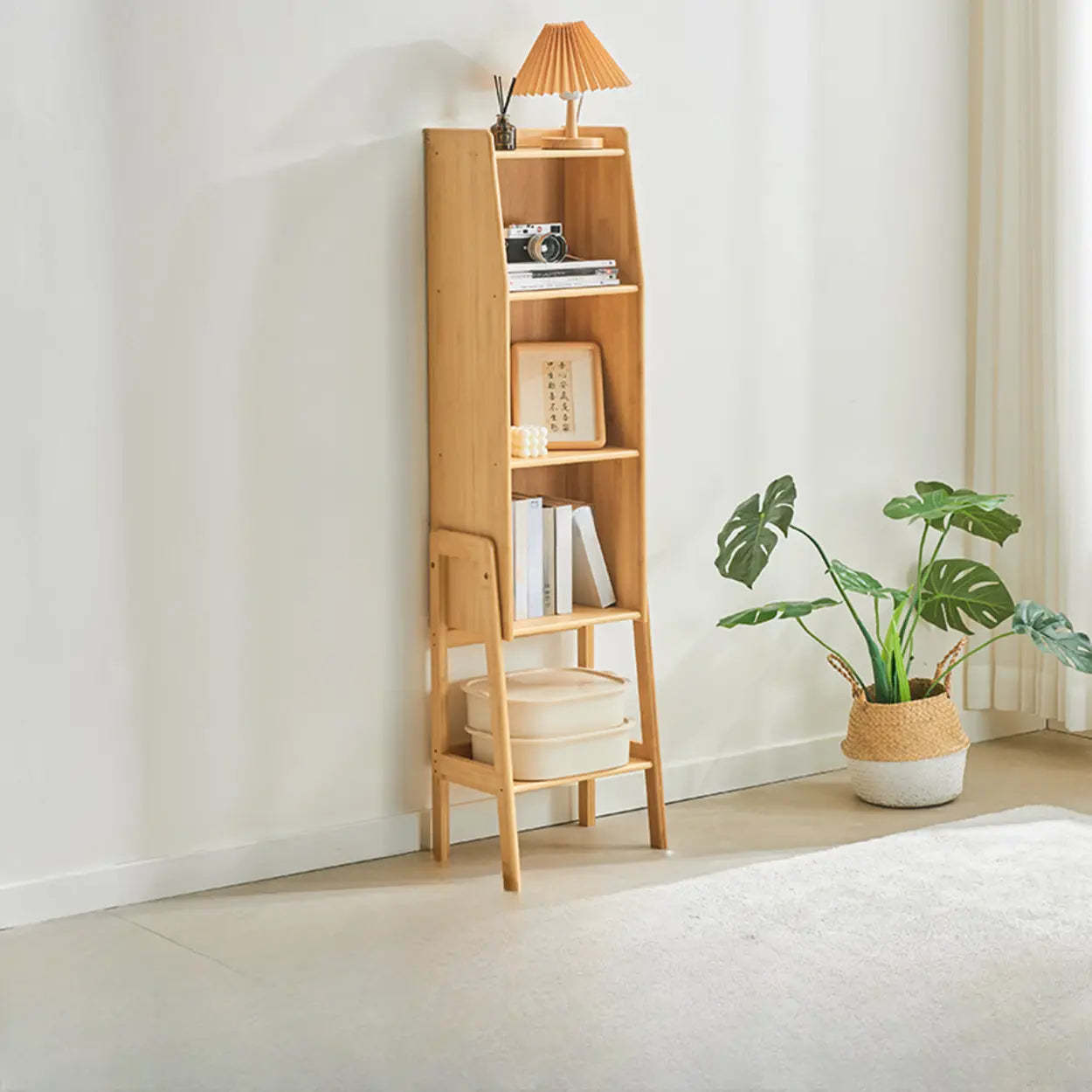 Antique Wooden Closed Rack Bookcase