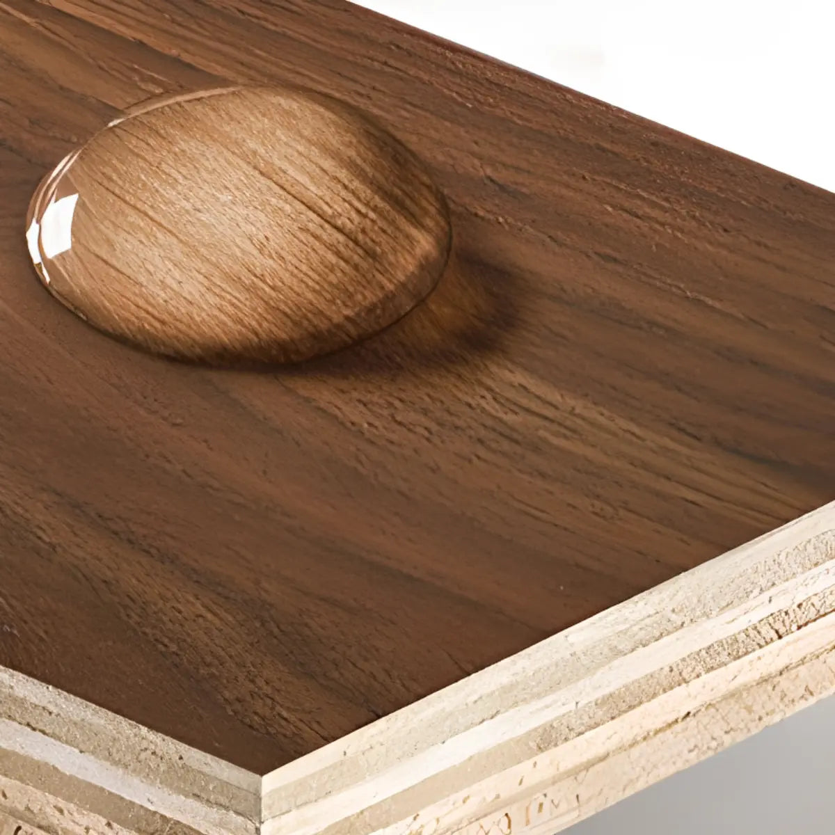 Artistic Tree-Shape Wood Display Bookcase