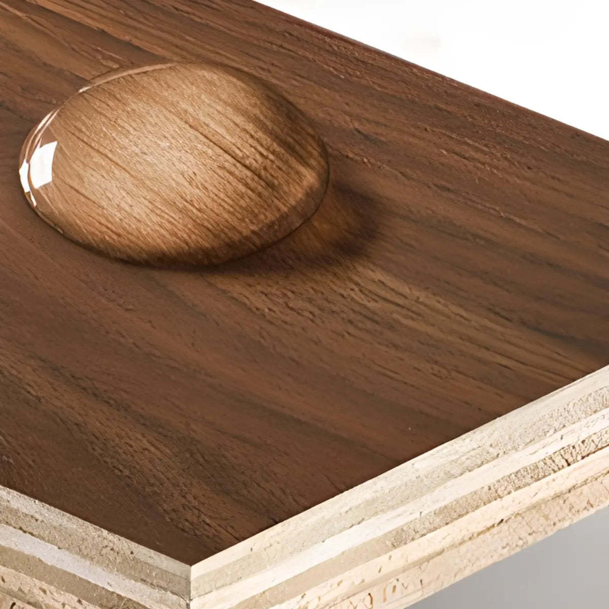 Artistic Tree-Shape Wood Display Bookcase