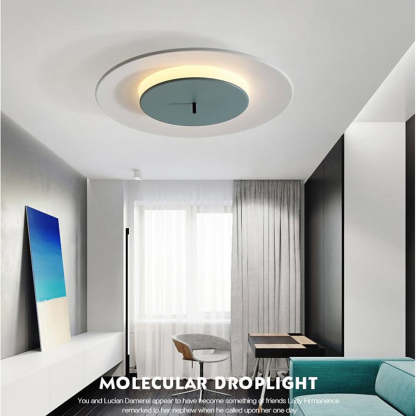 2-Circle LED Modern Flush Mount