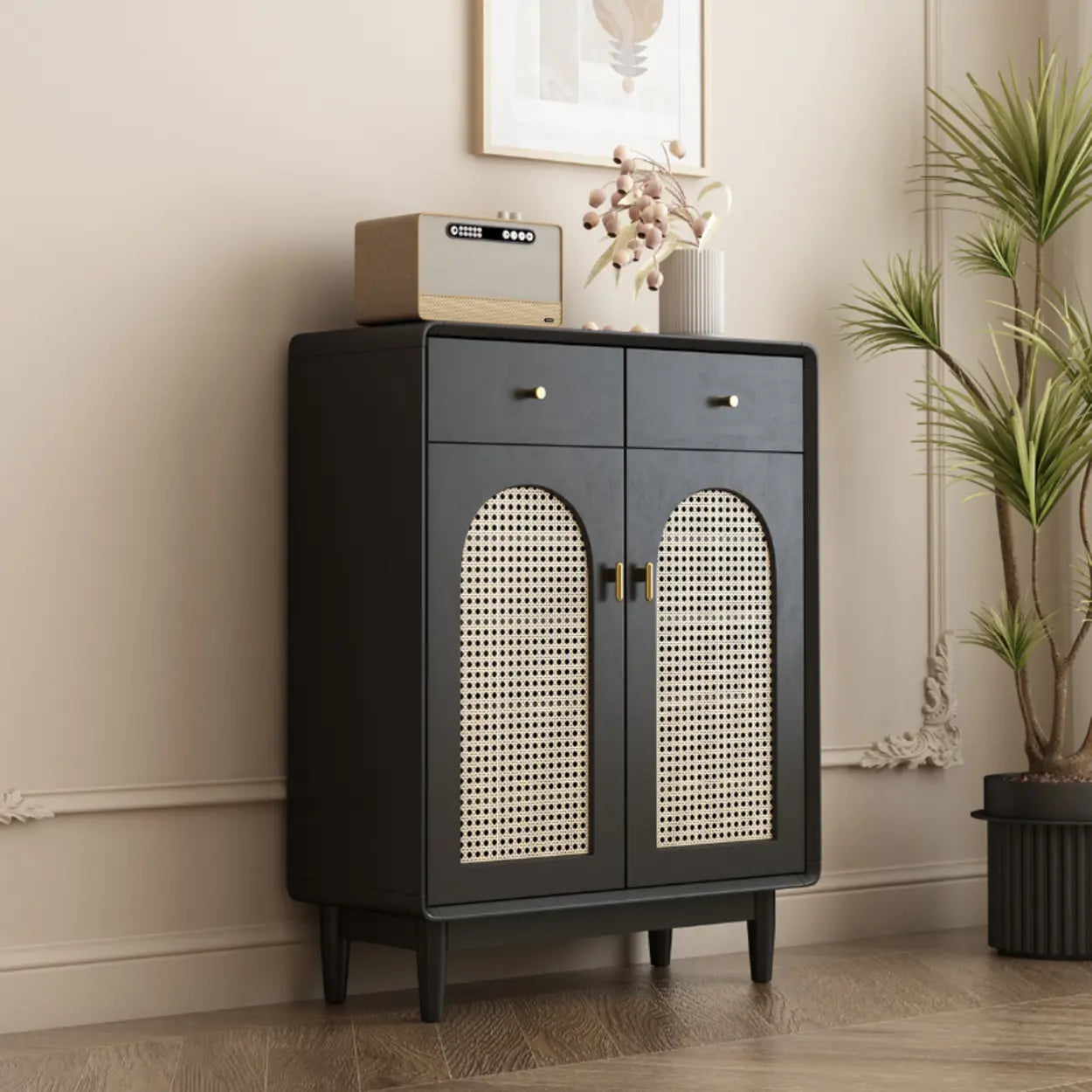Contemporary Black Wood Hallway Shoe Cabinet