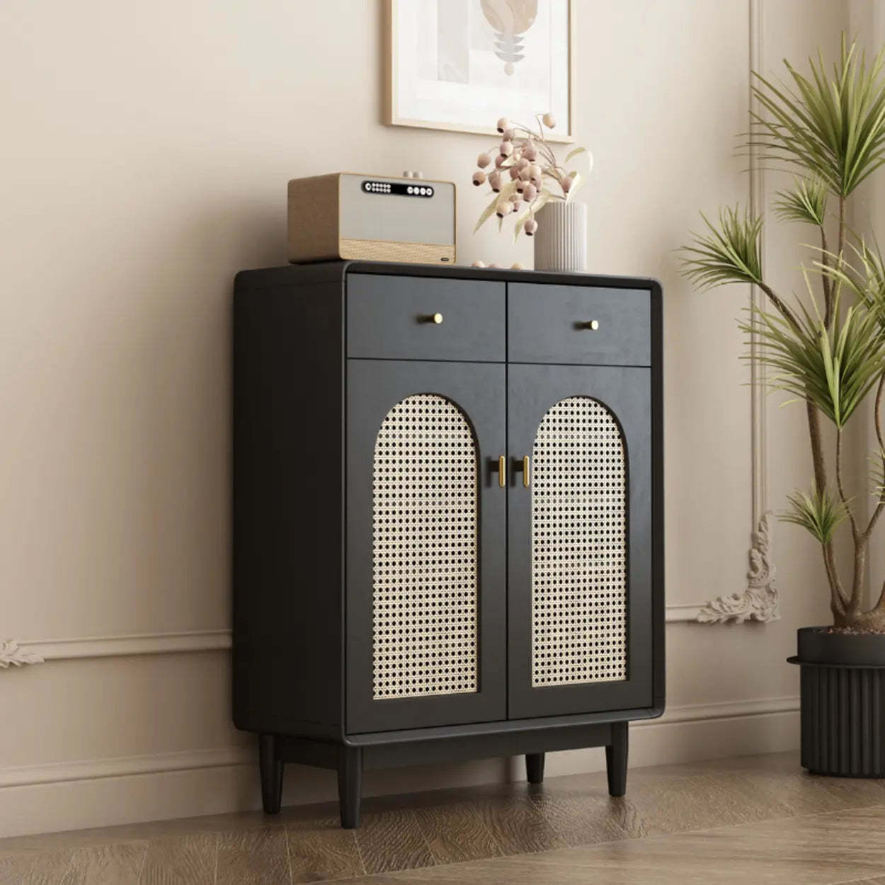Contemporary Black Wood Hallway Shoe Cabinet