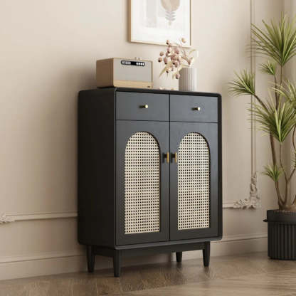 Contemporary Black Wood Hallway Shoe Cabinet
