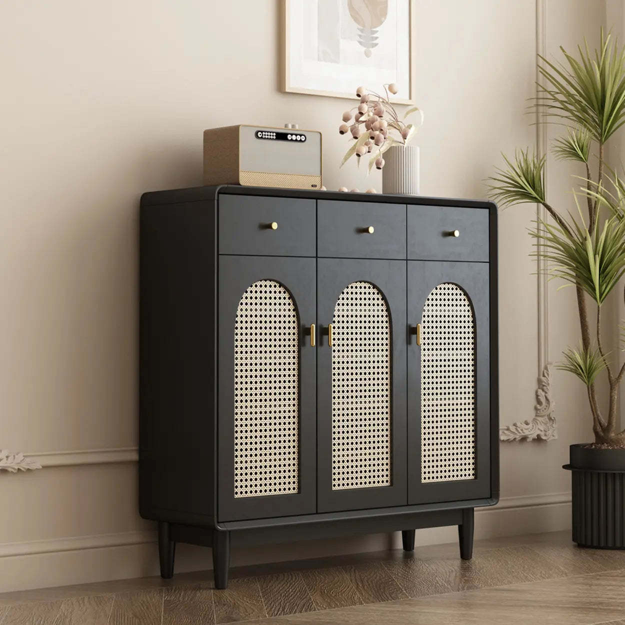 Contemporary Black Wood Hallway Shoe Cabinet