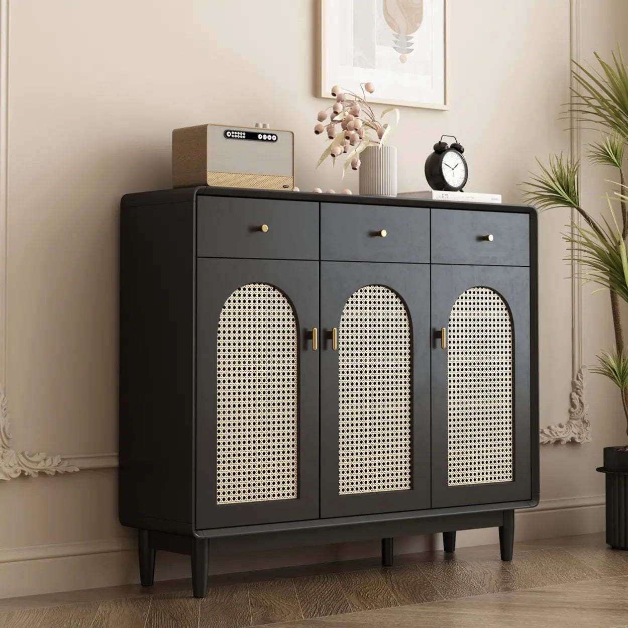 Contemporary Black Wood Hallway Shoe Cabinet