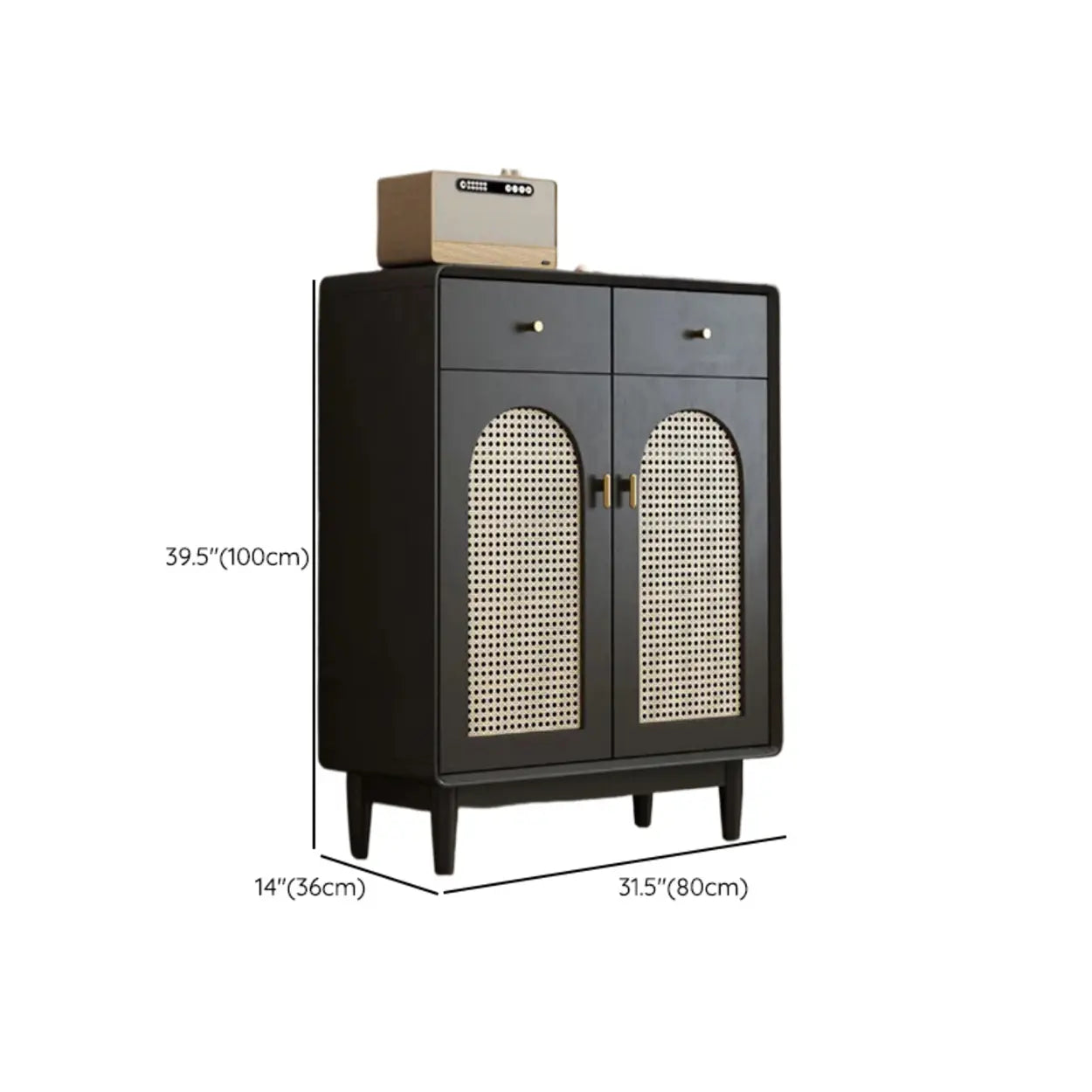 Contemporary Black Wood Hallway Shoe Cabinet