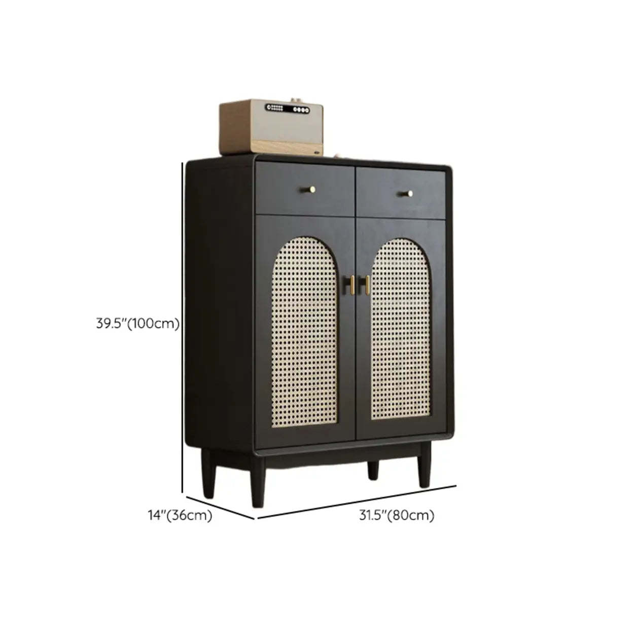 Contemporary Black Wood Hallway Shoe Cabinet