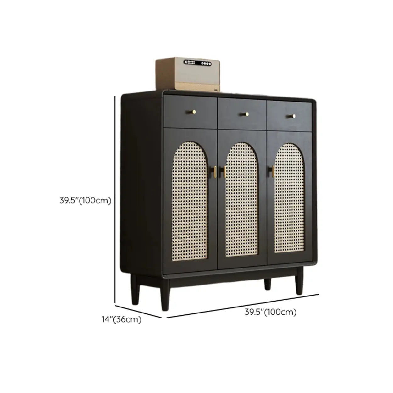 Contemporary Black Wood Hallway Shoe Cabinet