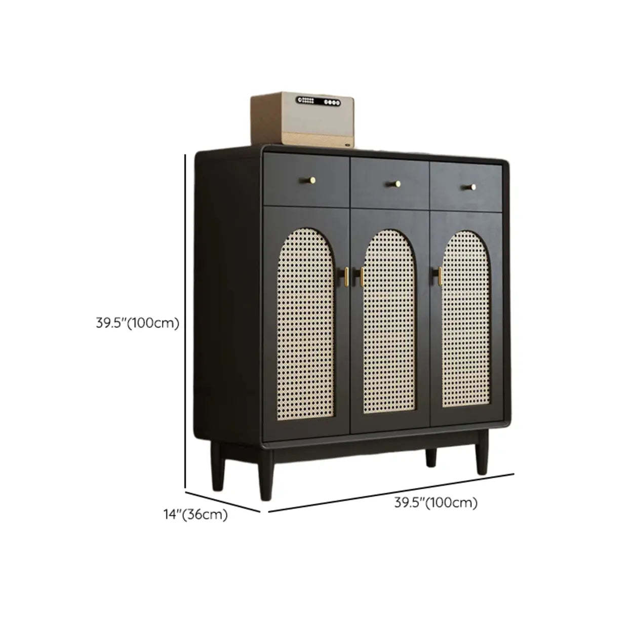 Contemporary Black Wood Hallway Shoe Cabinet
