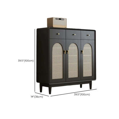 Contemporary Black Wood Hallway Shoe Cabinet