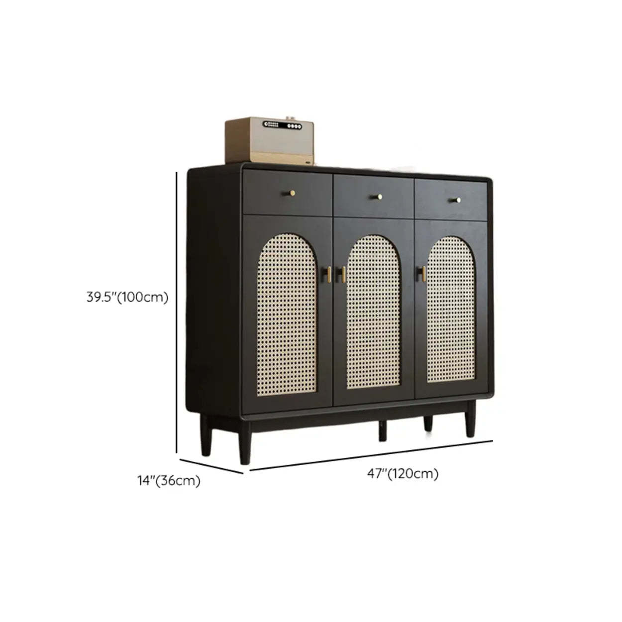 Contemporary Black Wood Hallway Shoe Cabinet
