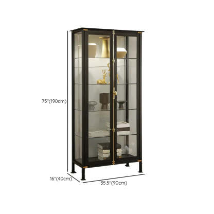 Classic Clear Glass Black Metal Curio Cabinet