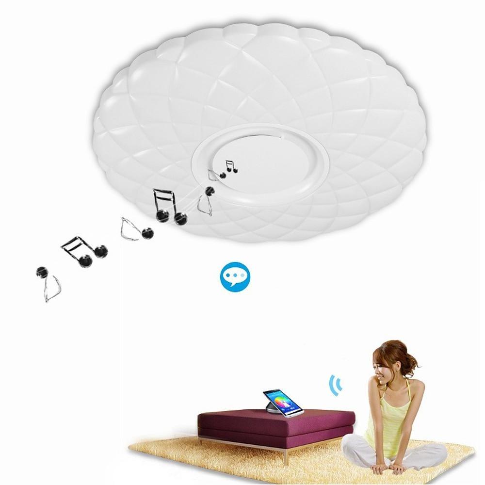 Metal Acrylic Flush Mount Ceiling Light Dimmable Unique LED Light-Lighom