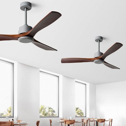 Mute Remote Adjustable Wind Speed Ceiling Fan