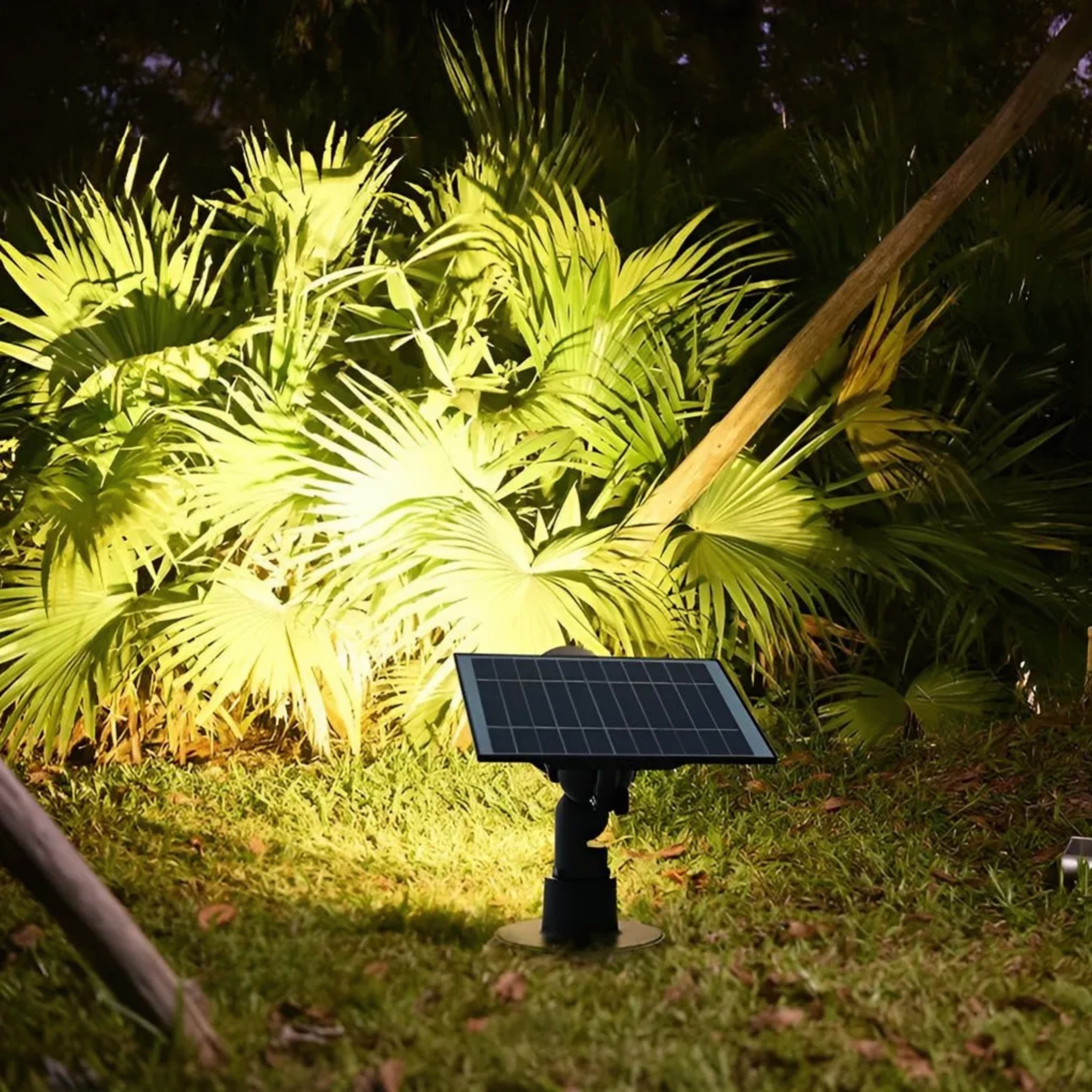 Lighom tree spotlight metal tree lighting for garden — Cool White (6000K) / Ground Insert / Set of 1